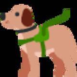 「（ﾄﾞﾎﾞﾝ…）遊び方がぎこちなくて、お水に落ちちゃったラブラドールの子犬。ヨタヨタした動きが神可愛い【動画】」の画像6