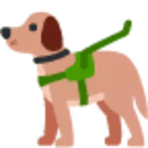 「（ﾄﾞﾎﾞﾝ…）遊び方がぎこちなくて、お水に落ちちゃったラブラドールの子犬。ヨタヨタした動きが神可愛い【動画】」の画像