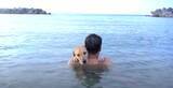「「パパ抱っこしてて…」海の中で抱きつき離れない甘えんぼラブラドール。まるで恋人のような姿にビーチがザワついた【動画】」の画像1
