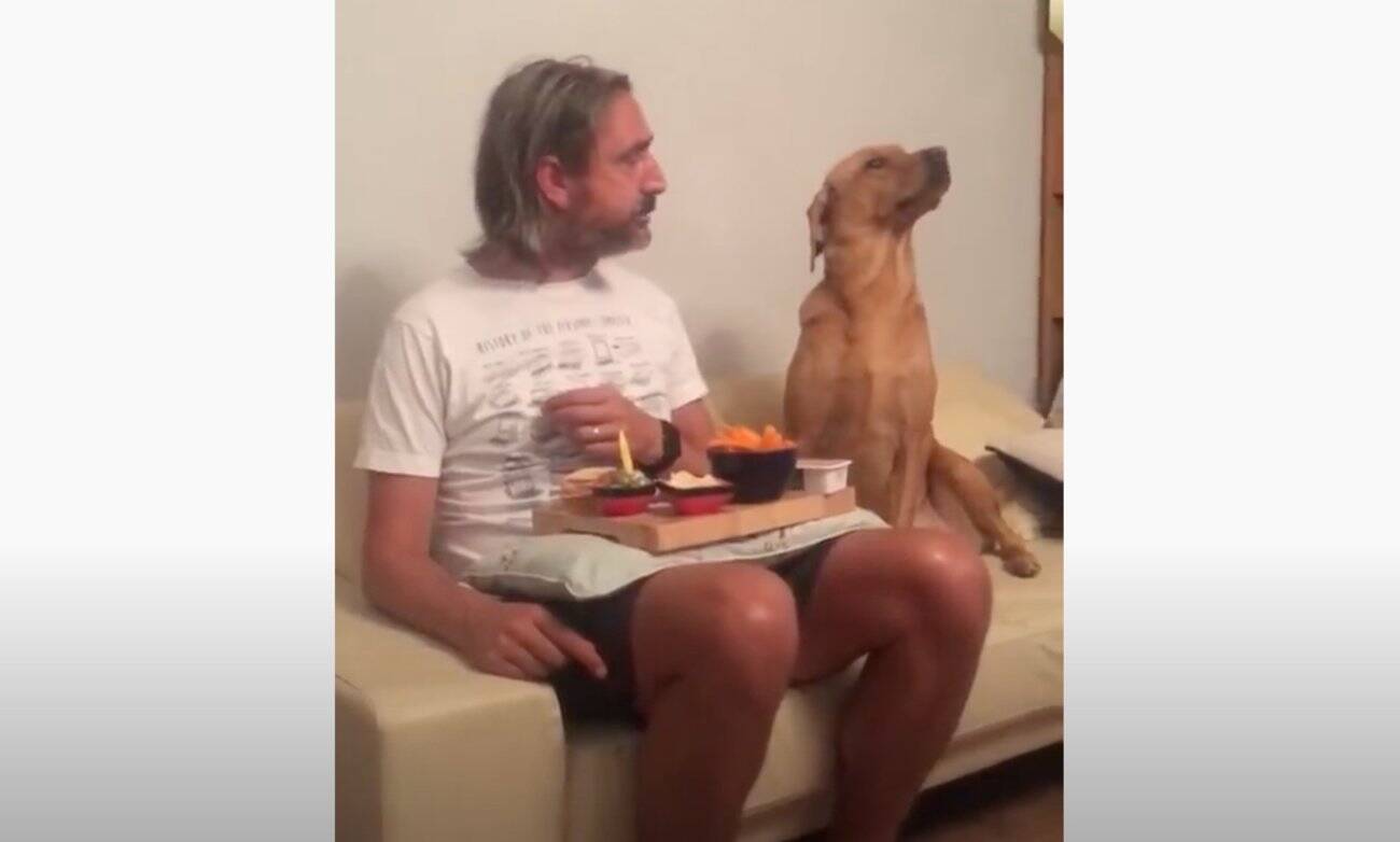 プイッ 飼い主のご飯が欲しくてガン見 なのに欲しくないフリしてそっぽを向くラブラドールの動きがまんまコント 動画 年11月1日 エキサイトニュース プイッ 飼い主のご飯が欲しくてガン見 なのに欲しくないフリしてそっぽを向くラブラドールの動きがまんまコント 動画 年11月1日 エキサイトニュース