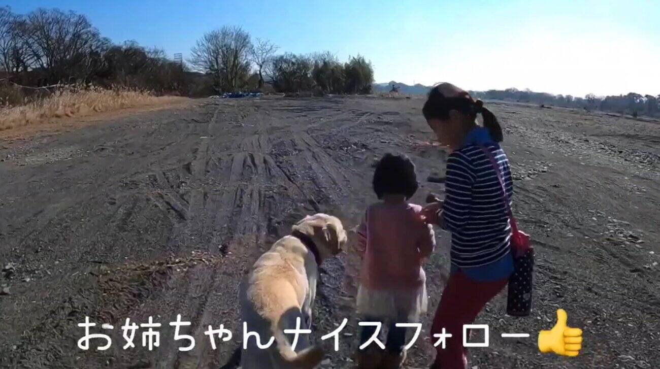 ラブと一緒に散歩を頑張る3歳の妹ちゃんと 見守るお姉ちゃんの3つの後ろ姿 デコボコに伸びた影にジーンときた 動画 21年2月25日 エキサイトニュース