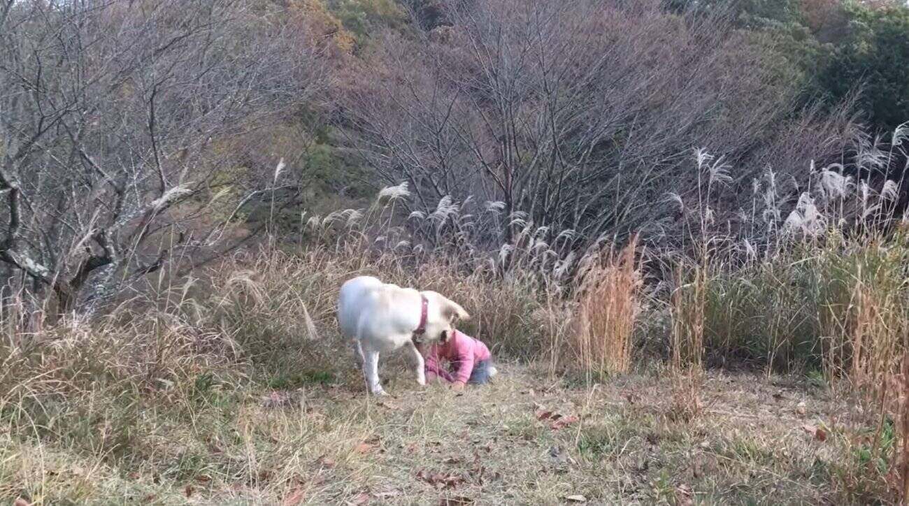 初めての 犬との生活 嬉しさ溢れるお兄ちゃんズとラブパピーがケージの中で大興奮 その姿が超ホッコリ 動画 21年6月15日 エキサイトニュース 2 2