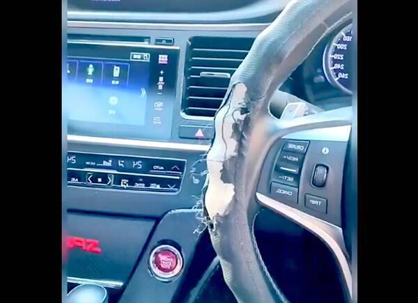 車のハンドルをズタボロにしたゴールデン 反省しすぎて感情失ってた 素直すぎて笑う 動画 21年9月30日 エキサイトニュース