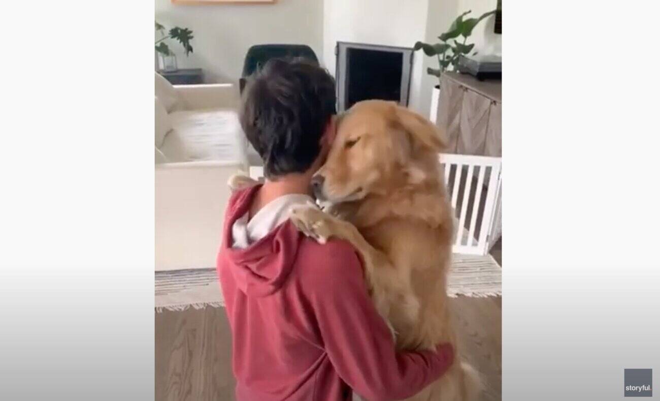 自ら顔を寄せ飼い主とハグするゴールデン 幸せを噛み締める姿が純粋で尊くて泣ける 動画 21年9月30日 エキサイトニュース