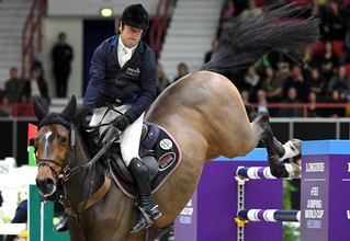 フィンランド馬術大会、馬糞で必要電力をすべて供給