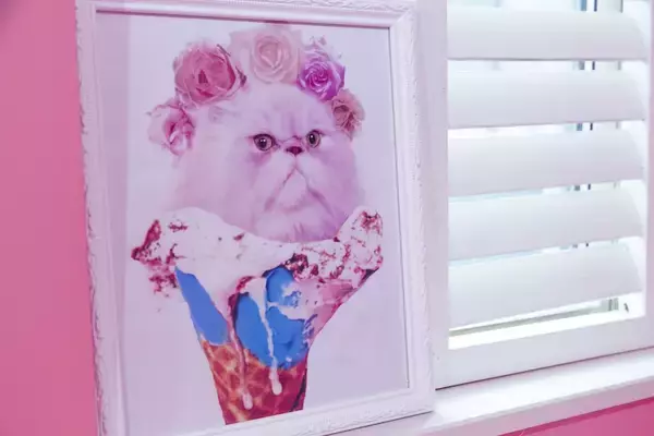 「インスタ映え抜群！　東京かわいい「ピンク」スポット5選」の画像