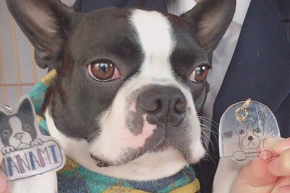 誕生日がうれしくなくなった年齢ランキング 10年6月25日 エキサイトニュース