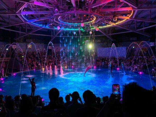 最新版 高校生にオススメ みんなが選んだ東京観光スポット 19年12月13日 エキサイトニュース