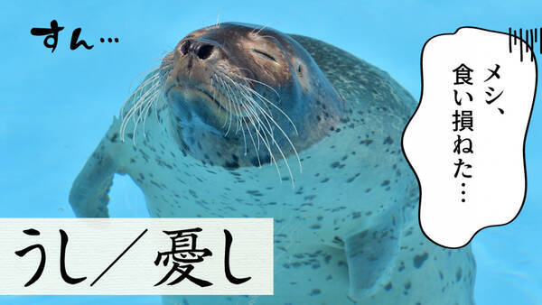 古文単語 うし 憂し 形容詞ク活用 の意味と覚え方を解説 21年2月26日 エキサイトニュース
