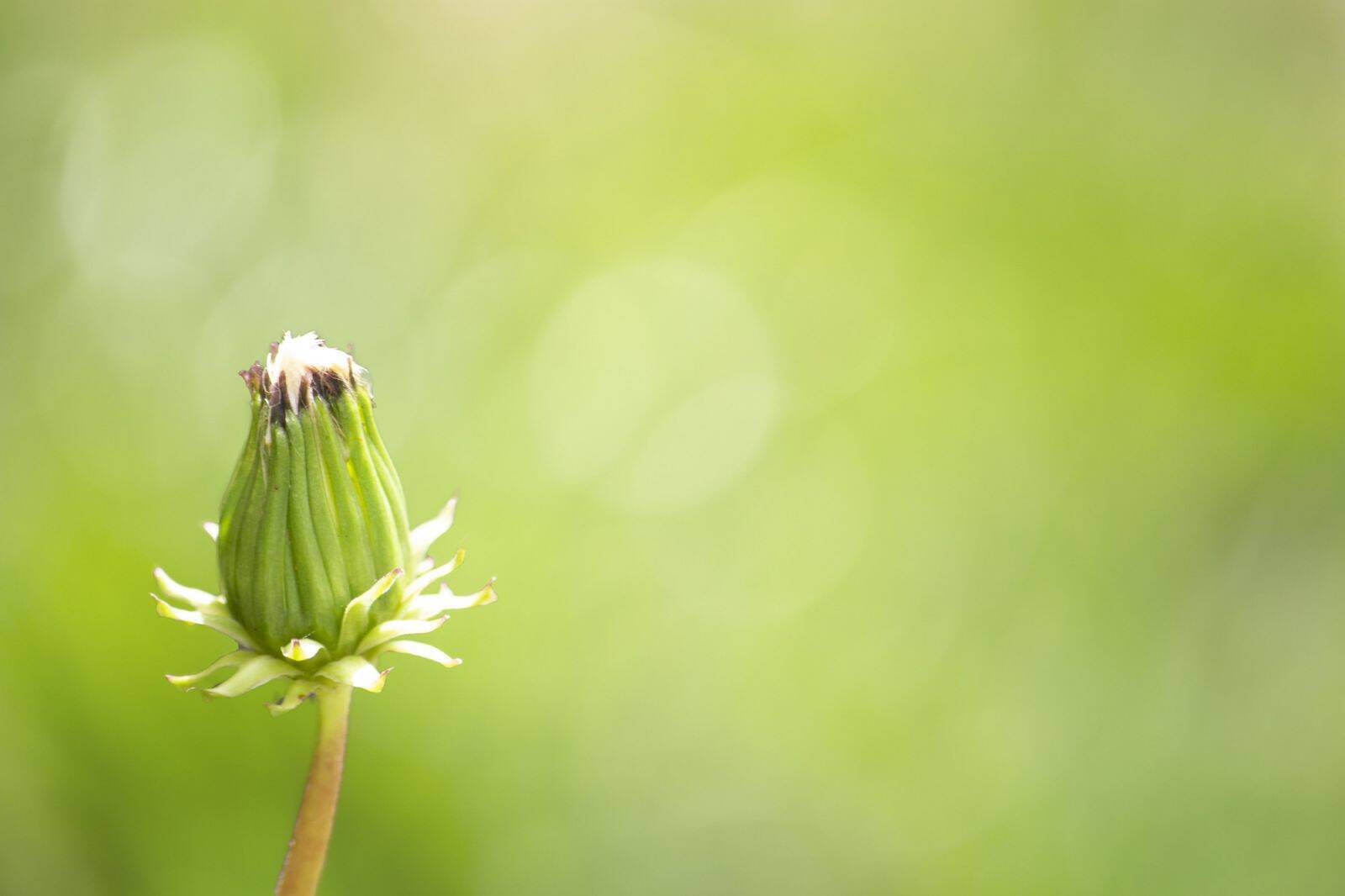 “ストーリー”で差がつく！ 専門学校の志望理由書の書き方とは？