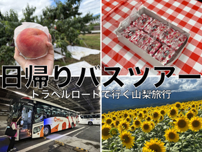 桃狩りに桔梗信玄餅詰め放題、最後はひまわり畑！ 山梨日帰りバスツアーが想像以上に楽しかった