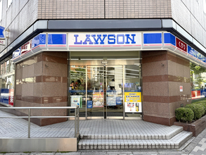 ローソン増量祭第3週はコレ！ 総重量645g焼そばとカツ×フランクカレーが強すぎた