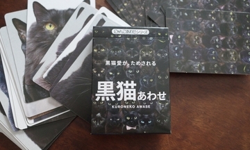 実在する25匹の黒猫写真だけで神経衰弱したら想像以上に地獄だった / 大人気カードゲーム『黒猫あわせ』