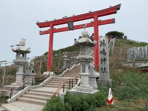 【ニッポン珍景】数万羽のウミネコが埋め尽くす神秘の島「蕪島」!! フンをかぶったらいいことあるぞ