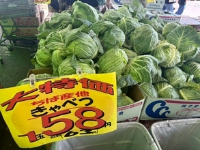 【激安】キャベツ1玉あたり約54円！ 箱買い野菜と珍魚にテンション爆上がりのローカルスーパー「フードセンターわたなべ」に行ってみた
