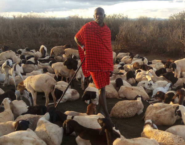 10連休が終わって仕事したくないと思ってる日本人たちに対する マサイ族の戦士からグゥの音も出ないコメント マサイ通信 第256回 19年5月7日 エキサイトニュース