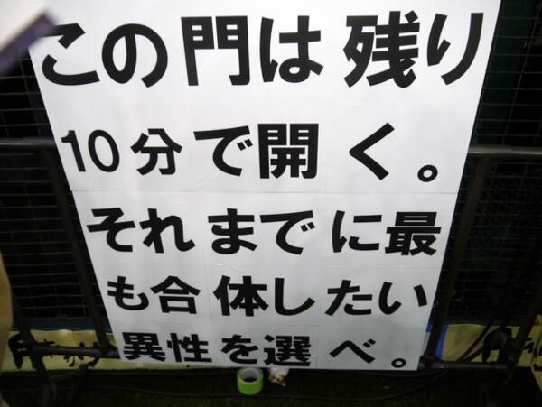 これはまた参加したくなる 男女合体を目的とした リアル出逢いゲーム がめちゃくちゃ楽しかったぞー 12年2月9日 エキサイトニュース