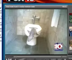 トイレの床や便器に物を落とした どれくらい汚いの 17年6月9日 エキサイトニュース
