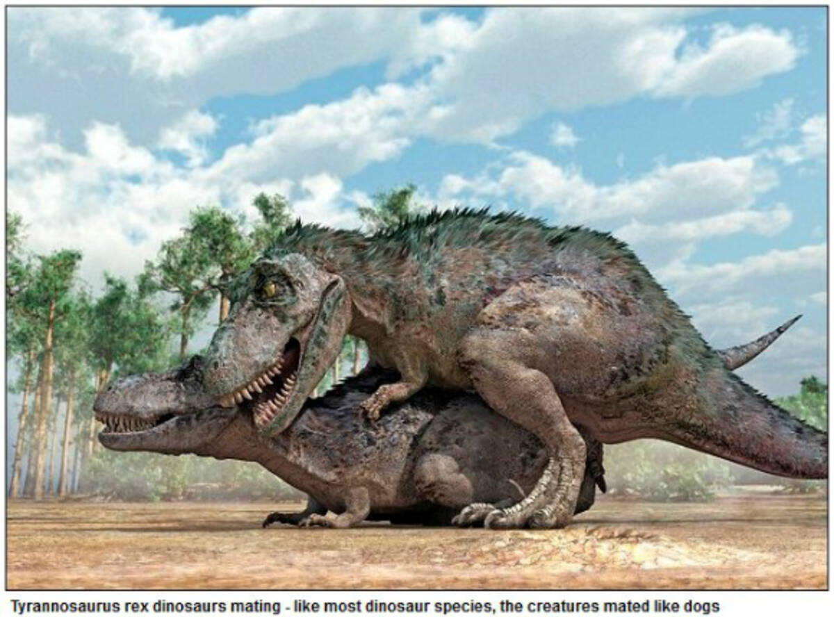 これは興味深い とっても気になる恐竜の 交尾スタイル が科学者の手によって明らかに 12年7月18日 エキサイトニュース