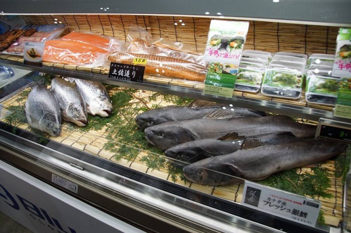 オーストラリア タスマニア産のサーモンがスゴい これぞ 日本人向けサーモンナンバーワン かも 12年7月日 エキサイトニュース