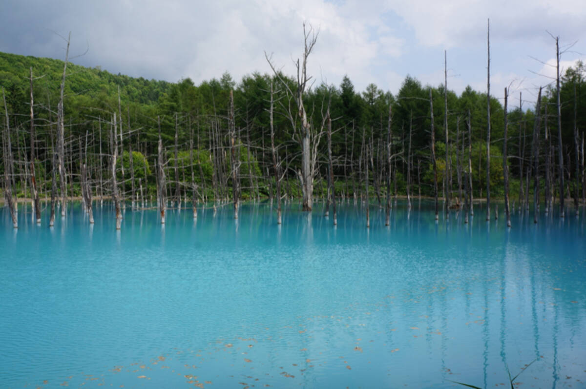アップル Macの壁紙にも使われた北海道の 青い池 に行ってみた 見る角度によって色が変化するとか神秘的すぎる 12年8月6日 エキサイトニュース