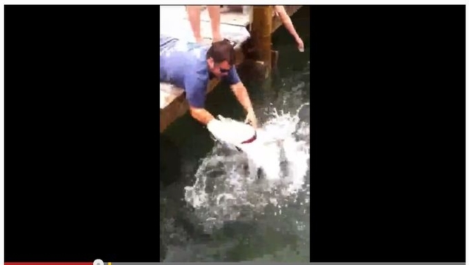 世界で釣り上げた巨大魚は５０種以上 怪魚ハンターが狙う 次の獲物は 17年4月12日 エキサイトニュース