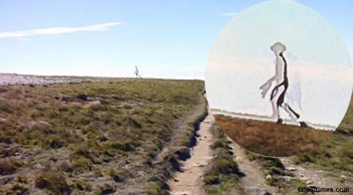 マジか 台湾でダイダラボッチみたいな怪物が激写される 13年1月日 エキサイトニュース