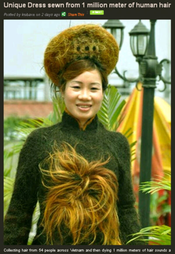 気持ち悪い 54人分の髪の毛で作られたドレス 10年4月3日 エキサイトニュース