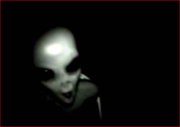 衝撃映像 ブラジルで捕獲された宇宙人のリアル動画 10年5月14日 エキサイトニュース