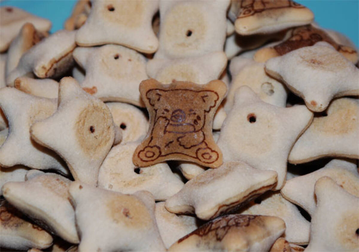 みんな知ってるあたりまえ知識 ロッテ コアラのマーチ には盲腸になったコアラがいるらしい 13年6月9日 エキサイトニュース みんな知ってるあたりまえ知識 ロッテ コアラのマーチ には盲腸になったコアラがいるらしい 13年6月9日 エキサイトニュース