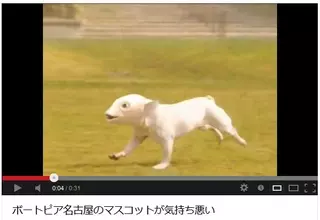 【衝撃】こんなこと言うのは非常に心苦しいが『フナ犬』はたぶん日本で一番気持ち悪いマスコットキャラクター