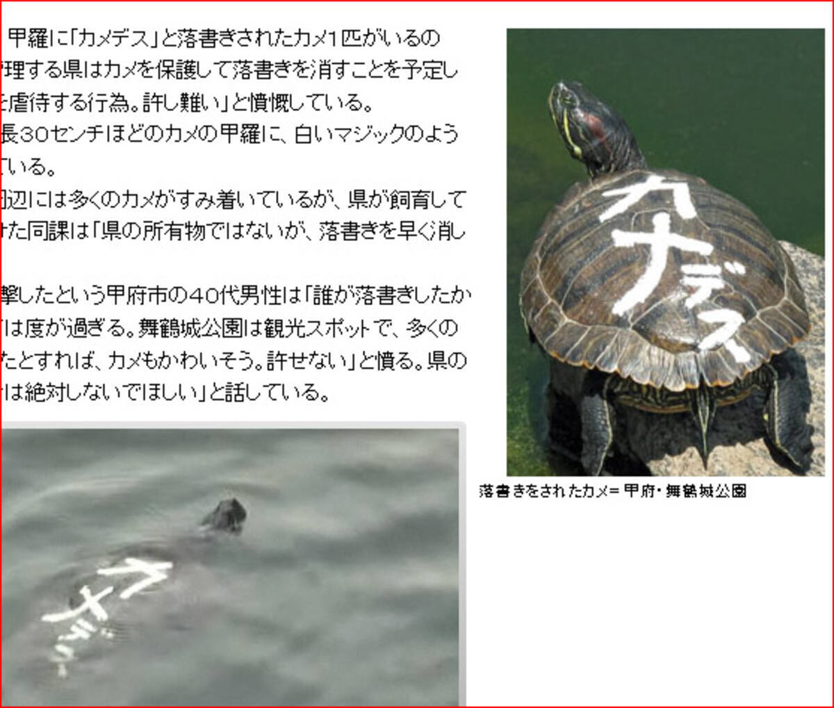 亀に カメデス と落書きされ住民激怒 ネットユーザー まぁ確かにカメだし 10年6月12日 エキサイトニュース