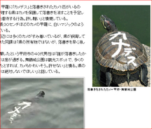 トリビア ヤマダ電機cm ヤマ ダ電機 は さまぁ ず が考えたメロディ 10年6月17日 エキサイトニュース