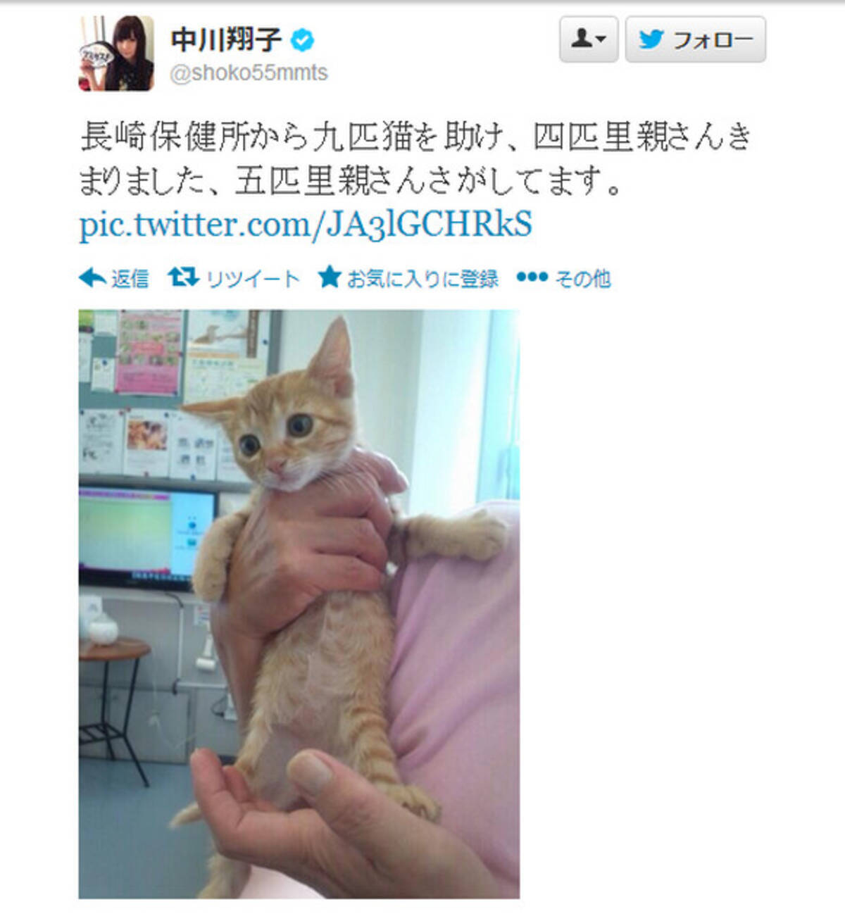 タレントの中川翔子さんが保健所から9匹の子猫を救い里親探し中 ライブでの引き渡しも ネットの声 しょこたん天使すぎる 13年10月8日 エキサイトニュース