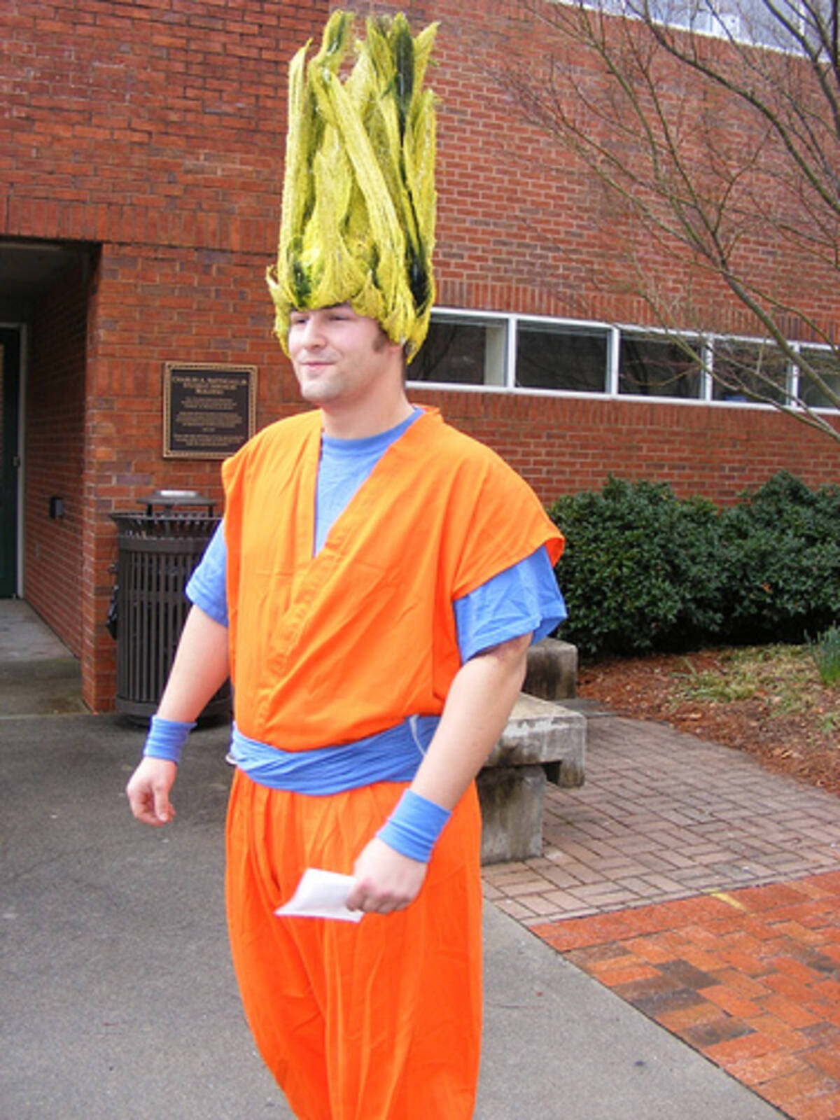 ドラゴンボールの孫悟空ってニートなの 実は意外な仕事をしていた 10年6月23日 エキサイトニュース