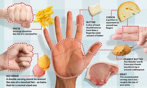 コストゼロで誰でもできる 自分の手で食事量の目安を把握する手ばかりダイエットが海外で話題 14年1月18日 エキサイトニュース