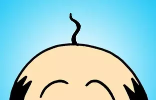 サザエさんの 波平 の髪の毛を抜きたくなる理由 12年5月23日 エキサイトニュース