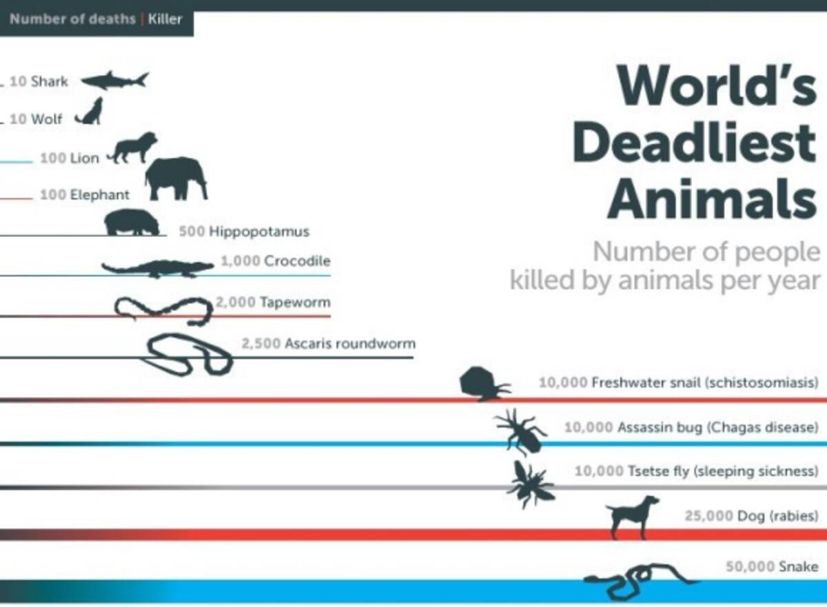 衝撃 人間にとって最も危険な生物は何か 1年間で70万人以上を死へ追いやる超危険生物は意外なアイツ 14年5月7日 エキサイトニュース