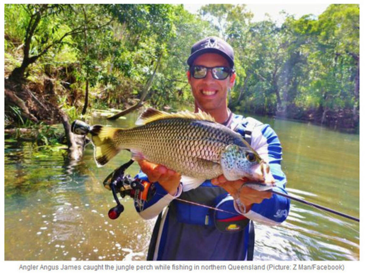 釣り人に起きた奇跡 魚を釣り上げたら口のなかでアマガエルが佇んでいたでござる 14年5月8日 エキサイトニュース