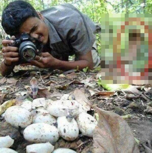 志村うしろ じゃなくて 志村よこ っていう写真が激写される 14年7月2日 エキサイトニュース