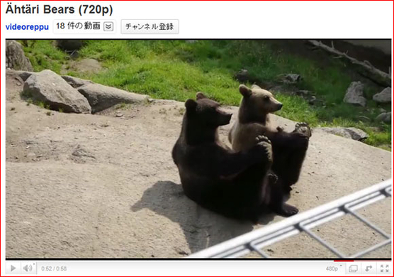 視聴注意 動物園で行われた 熊vs猿 の自転車レースが残酷な結果をもたらす 13年5月11日 エキサイトニュース