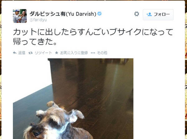 気の毒 ダルビッシュ有選手が飼い犬をカットに出したらトンでもないことに ネットの声 あり得ない 14年8月21日 エキサイトニュース