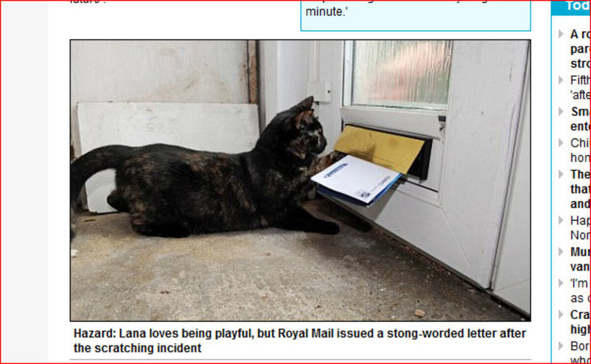 配達中に猫に襲われて郵便局員がケガ 郵便局 もうお宅には配達しません 2010年11月4日 エキサイトニュース