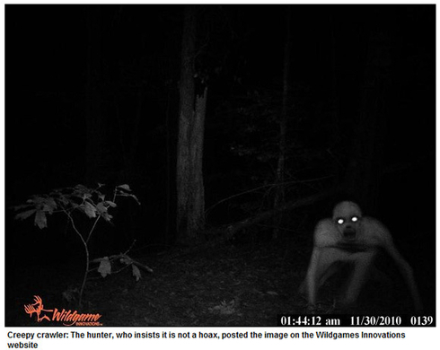 アフリカに恐竜が生息していた 謎の赤い恐竜 カサイレックス 15年7月18日 エキサイトニュース