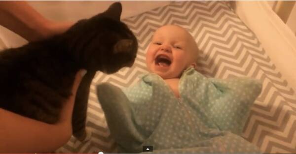【動画】ネコが好きすぎて赤ちゃん大はしゃぎ！ ニャンコを見ると喜びまくりでカワイイ (2015年8月20日) エキサイトニュース