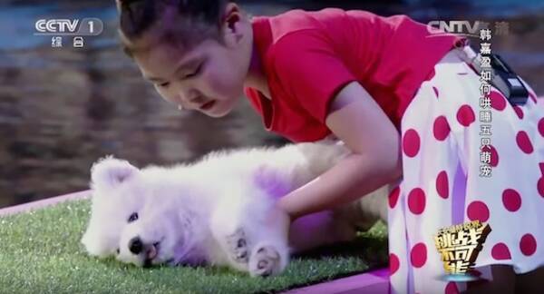 超能力 マッハの速さで寝かしつけ 撫でるだけで動物を眠らせてしまう中国人少女がスゴすぎる 15年8月26日 エキサイトニュース