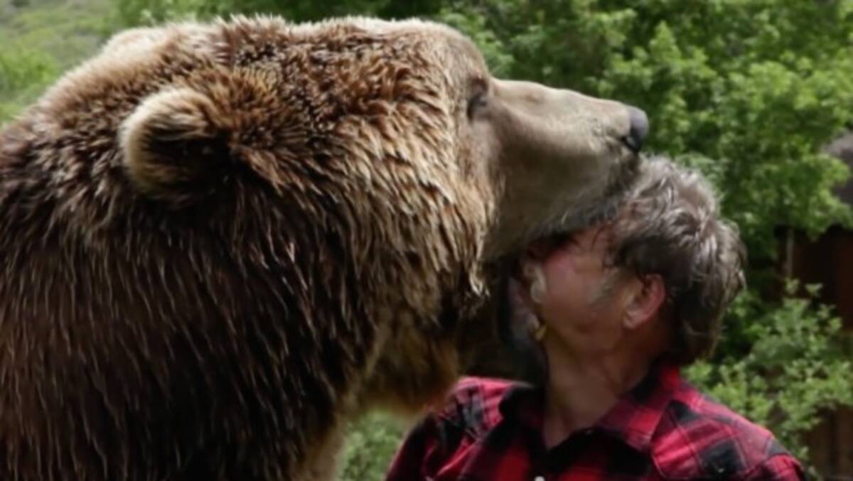 衝撃動画 ムツゴロウさんもびっくり 超巨大熊 グリズリー と暮らす男が勇敢を通り越してもはや理解不能 15年10月8日 エキサイトニュース