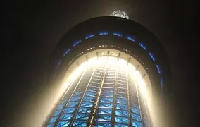 あなたはナニに見える？ 一部から「お下品」だと噂されるクリスマスライト