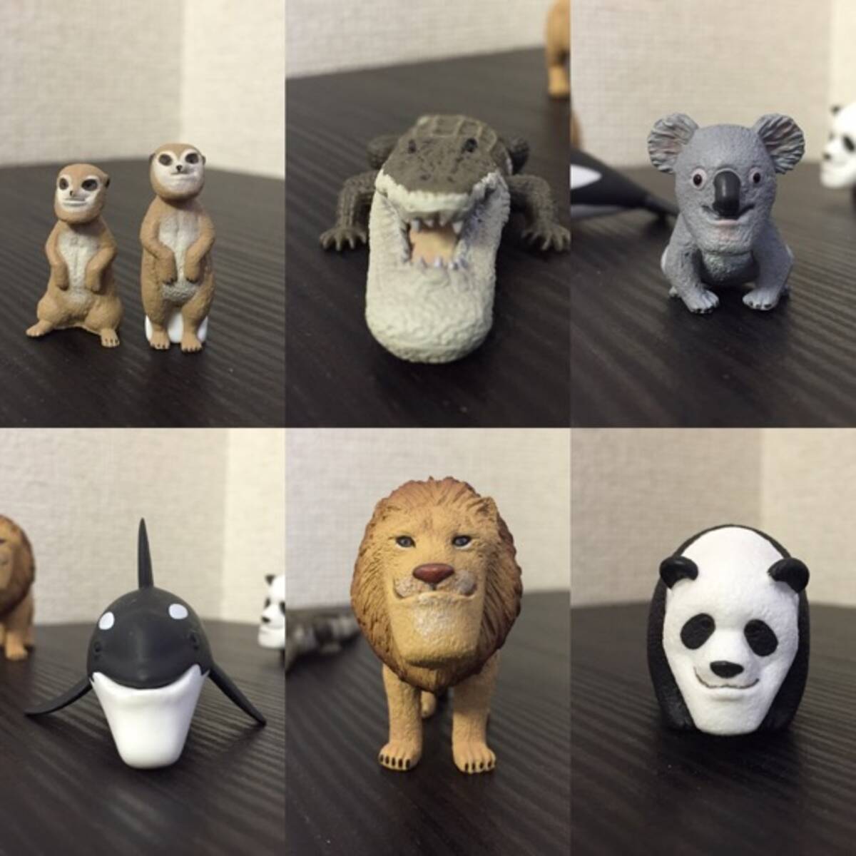 世にもシャクレな動物たち ガチャガチャ シャクレルプラネット が ジワる とネットで話題 コンプしてみた 16年1月日 エキサイトニュース