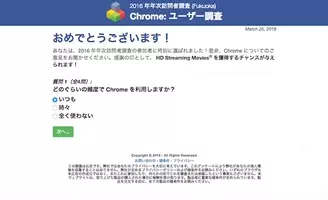 実録 Chromeユーザー調査を偽ったフィッシング詐欺 17年年次訪問者調査 にクレカ情報や個人情報を入れたりして最後まで進んだらこうなった 17年1月5日 エキサイトニュース